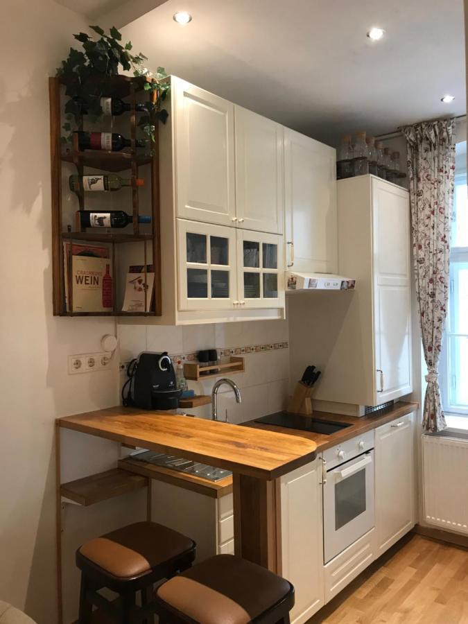 Nice Apartment Near Schoenbrunn And Downtown 维也纳 外观 照片