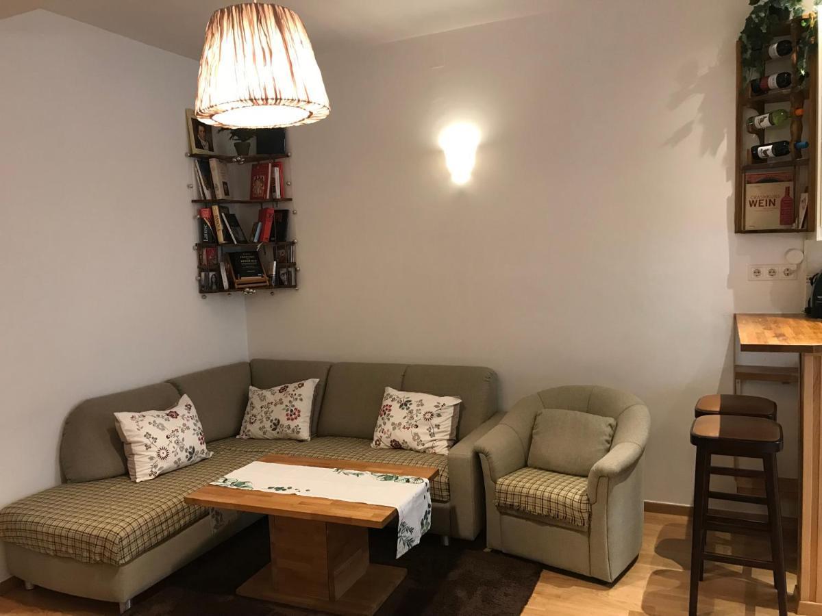 Nice Apartment Near Schoenbrunn And Downtown 维也纳 外观 照片